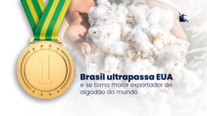 Leia mais sobre o artigo Explore as oportunidades de investimento no setor agrícola do Brasil