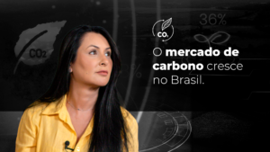 Leia mais sobre o artigo O ativo mais valioso do século XXI não é tecnologia. É carbono.