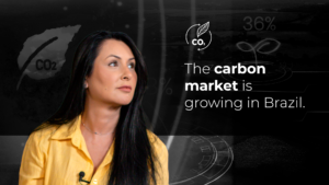 Leia mais sobre o artigo The most valuable asset of the 21st century is not technology. It is carbon.