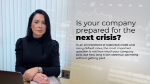 Leia mais sobre o artigo Is Your Company Prepared for the Next Crisis?