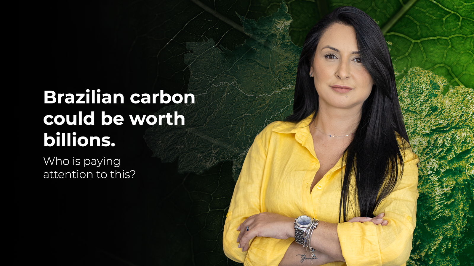 No momento, você está visualizando Why Is Foreign Capital Advancing into Brazil’s Carbon Market?