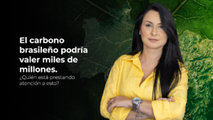 Leia mais sobre o artigo ¿Por Qué el Capital Extranjero Está Avanzando Sobre el Mercado de Carbono en Brasil?