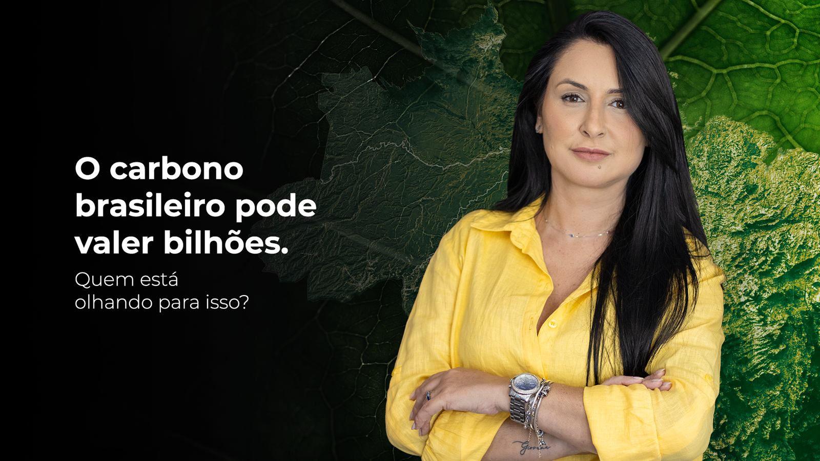 No momento, você está visualizando Por Que o Capital Estrangeiro Está Avançando Sobre o Mercado de Carbono no Brasil?